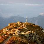 Alpenrose Тукс