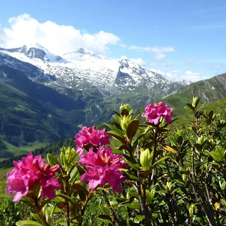 Alpenrose Apartment
