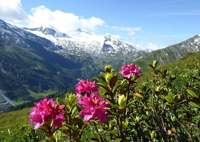 Alpenrose Διαμέρισμα